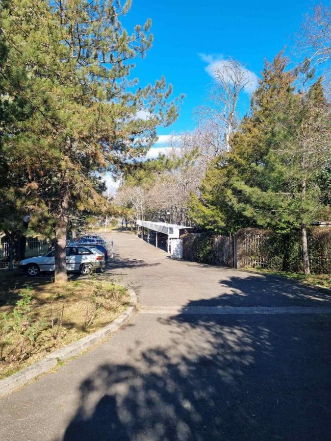 Fuk-tak's bungalow Dojran Bagian luar foto