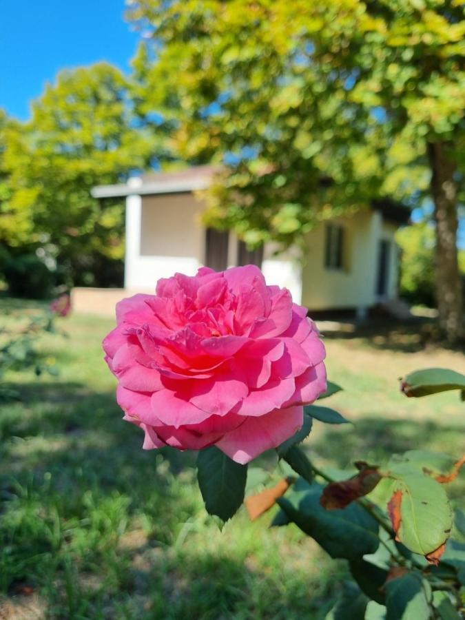 Fuk-tak's bungalow Dojran Bagian luar foto